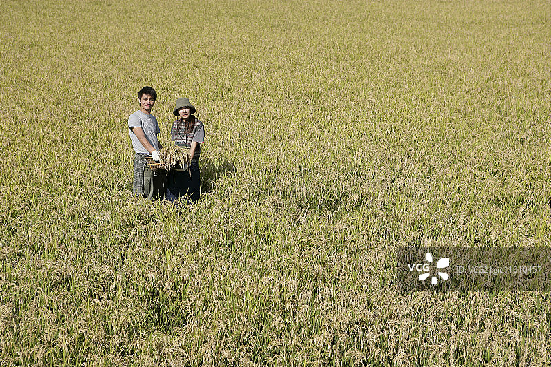 一对夫妇在稻田里图片素材