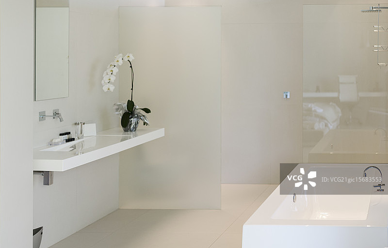 兰花，水槽和浴缸在现代浴室图片素材