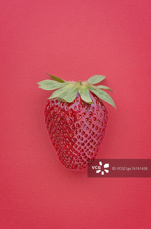红草莓II图片素材