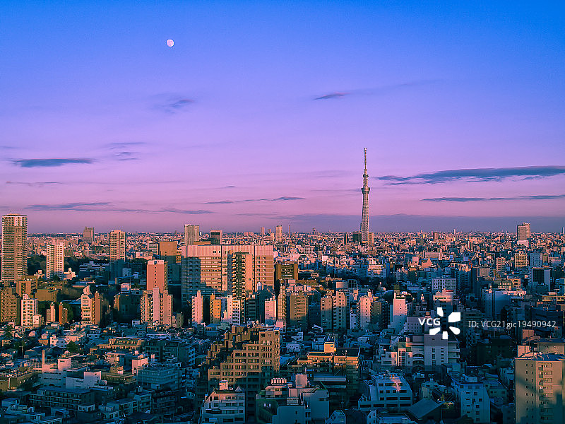 东京天空树和月亮升起图片素材