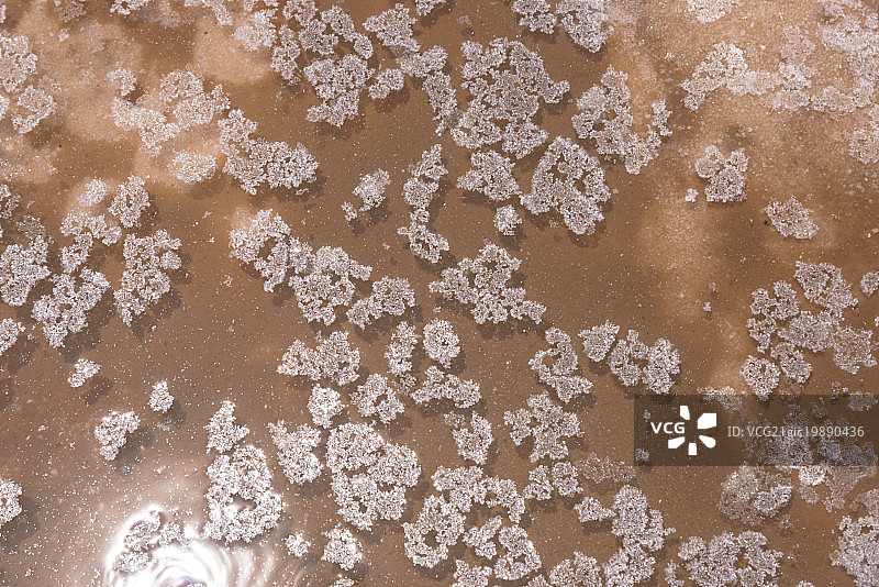 镜湖乌尤尼盐湖的水晶盐在干旱季节，玻利维亚，南美洲图片素材