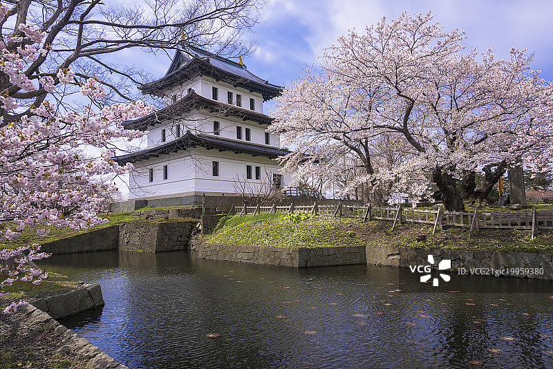 日本北海道松前镇，松前城堡和樱桃树图片素材