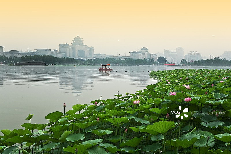 中国,北京,莲花池图片素材