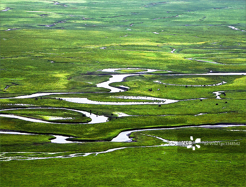 中国甘肃阿万仓草原，美丽的草原图片素材