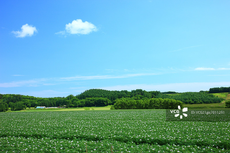 草原和蓝天为背景，桥下，北海道图片素材