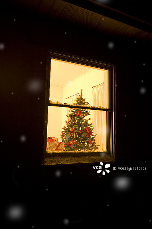 透过窗户看圣诞树图片素材
