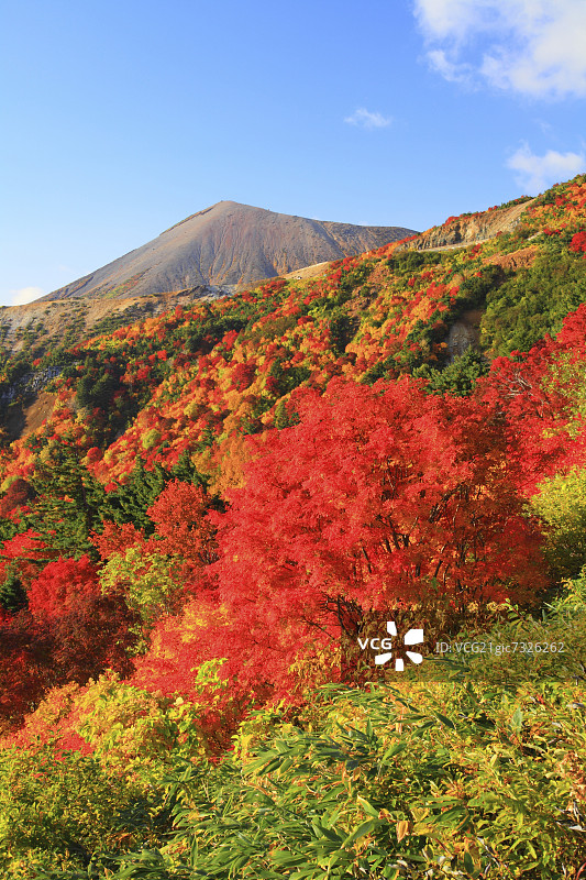 福岛县天谷花园的秋天图片素材
