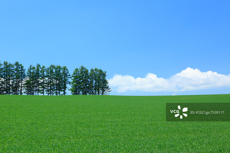 草原和天空,北海道图片素材