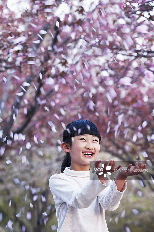 快乐的年轻女孩扔樱花花瓣在外面的一个公园在春天图片素材