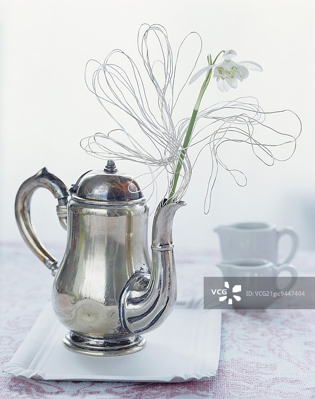 雪花莲放在用铁丝装饰的茶壶里图片素材