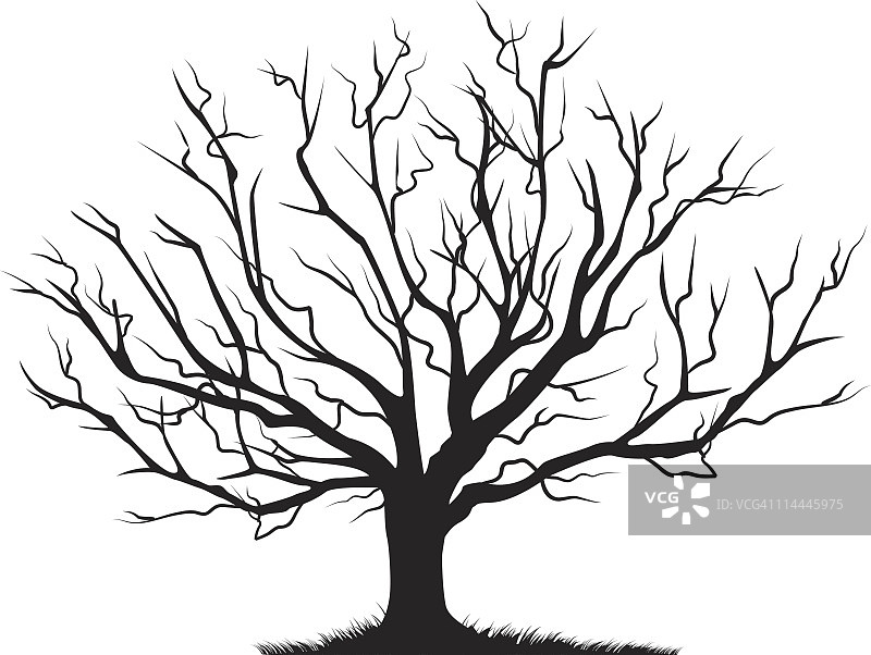 落叶光秃秃的树空树枝黑色剪影图片素材