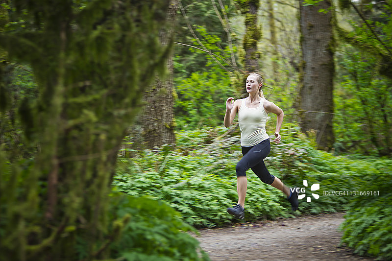 美国俄勒冈州波特兰，女人在森林里跑步图片素材