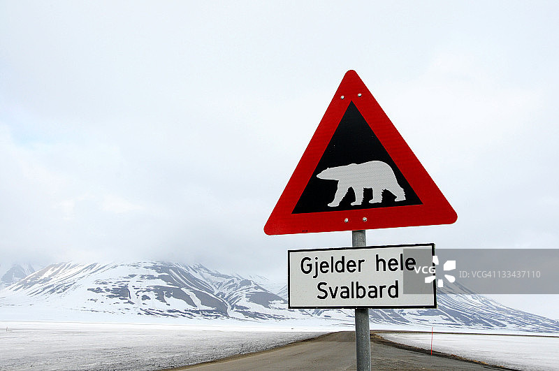 挪威斯瓦尔巴群岛朗伊尔城的北极熊标志图片素材