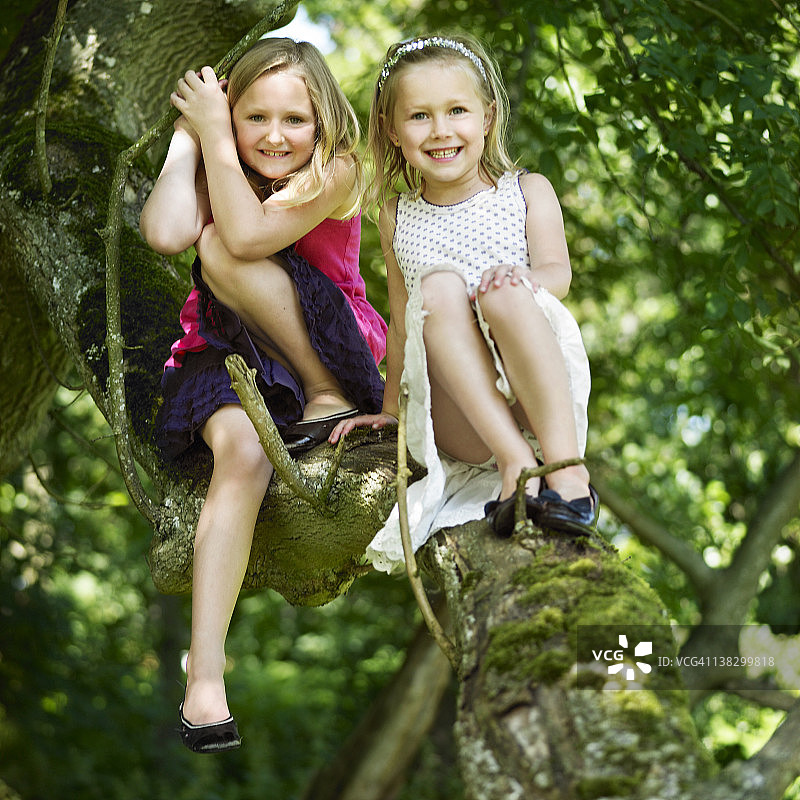 微笑的女孩坐在树上图片素材