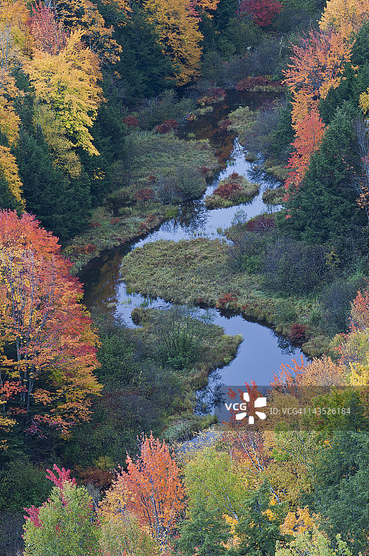 秋天的颜色，豪猪山荒野图片素材