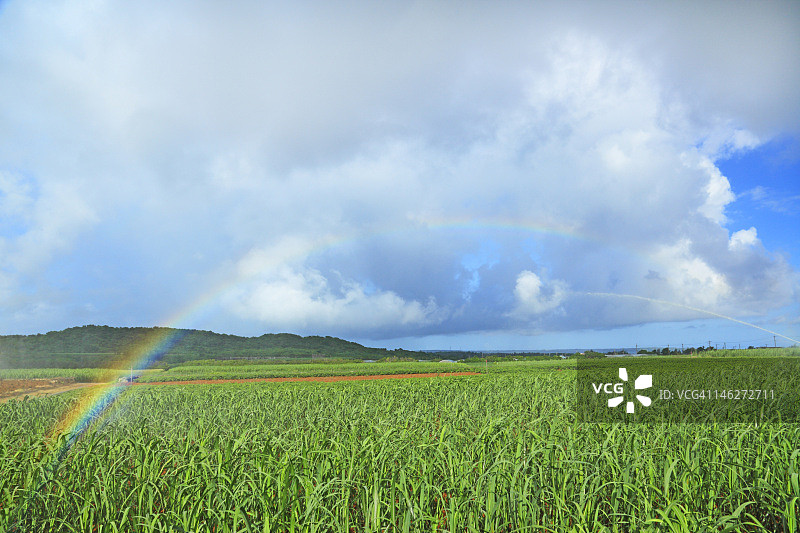 农田里的彩虹图片素材
