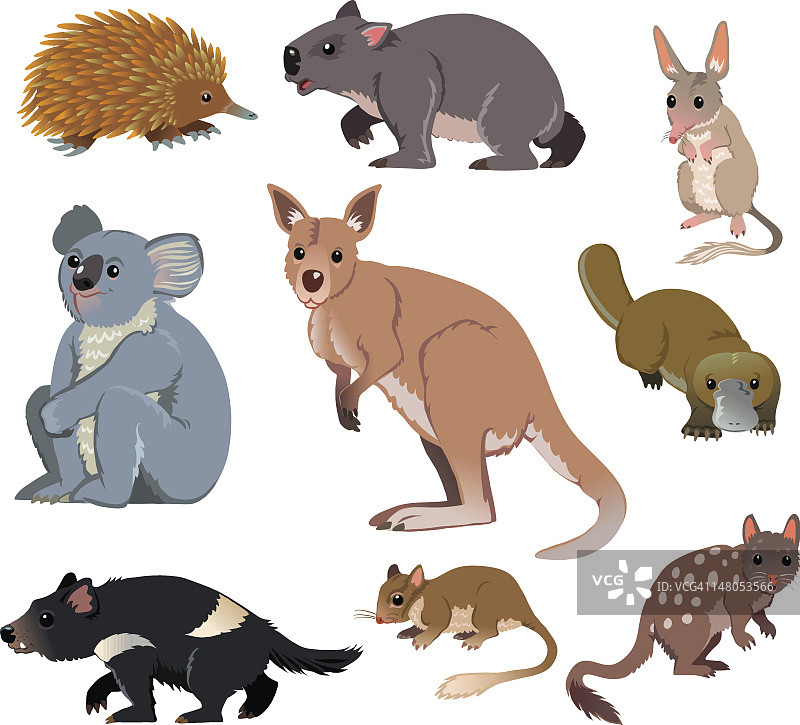 澳大利亚野生动物-卡通图片素材