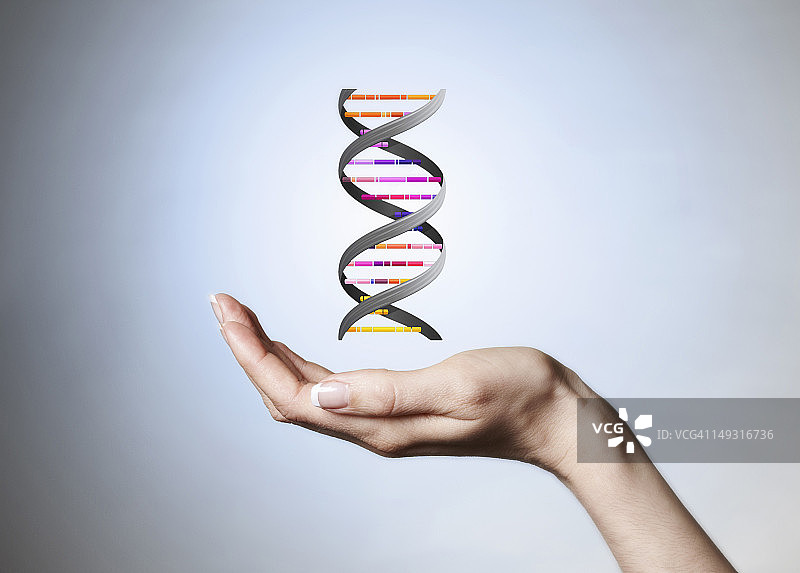 手握型DNA图片素材