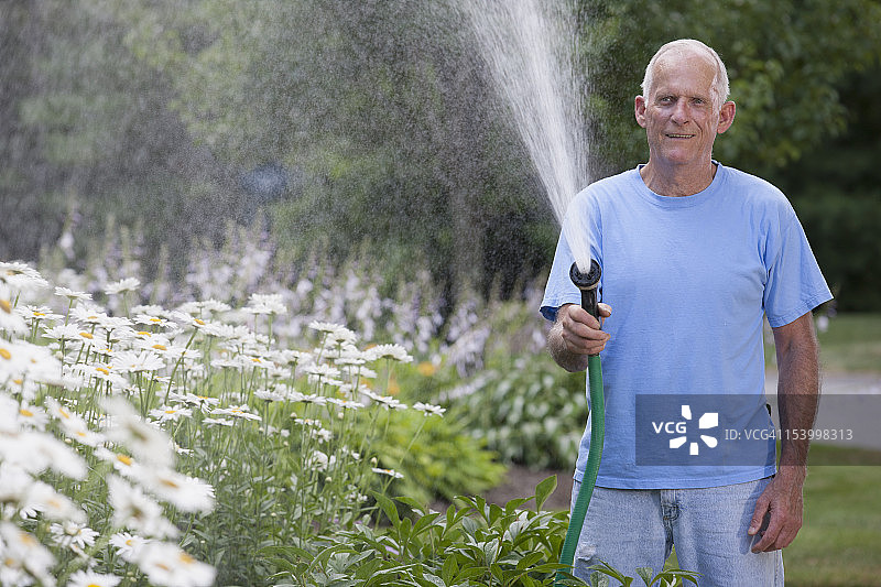 老人在室外花园给雏菊浇水图片素材