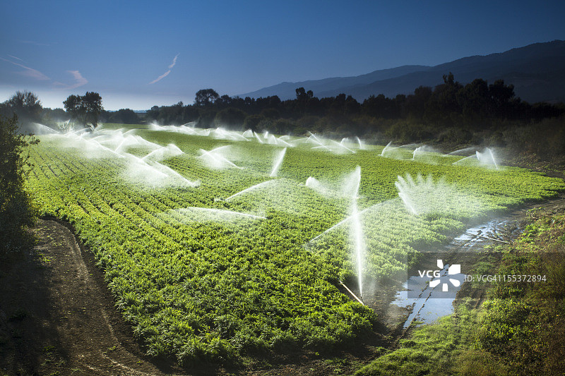 灌溉喷灌机在肥沃的农田上灌溉作物图片素材