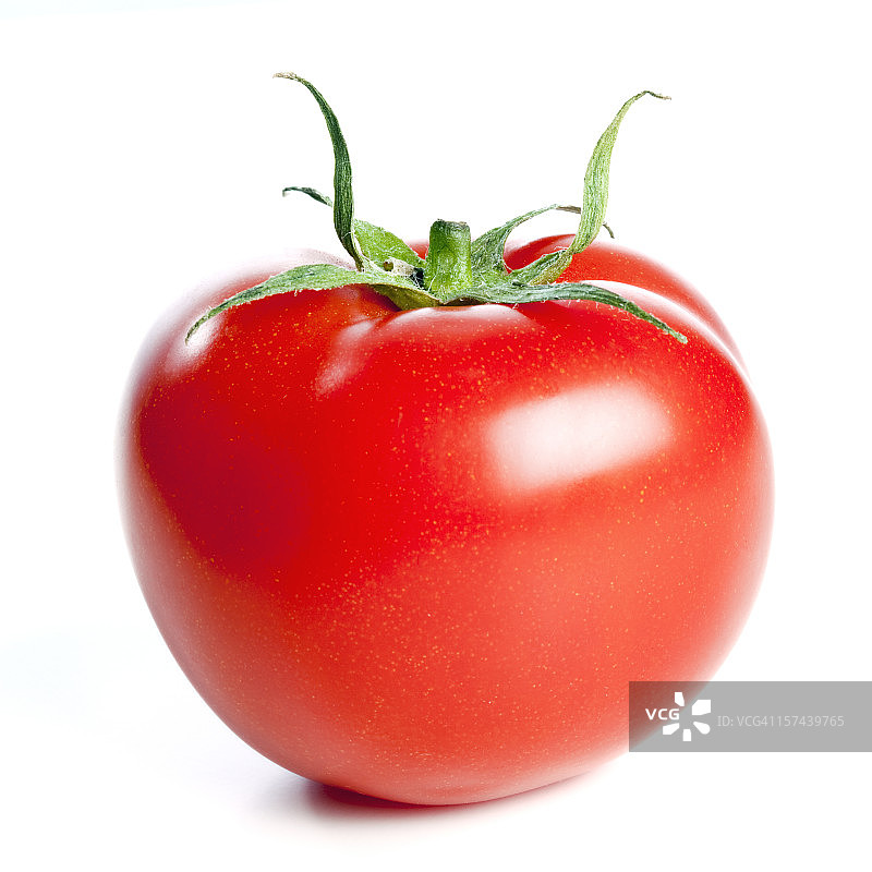 新鲜番茄，孤立在白色背景上图片素材