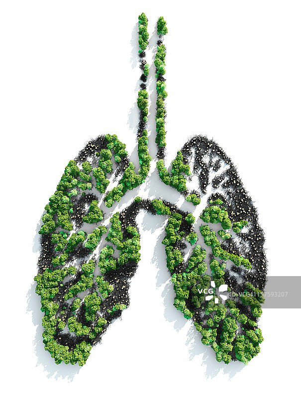 地球之肺图片素材