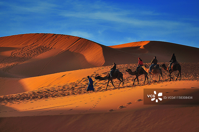 在撒哈拉沙漠骑骆驼图片素材