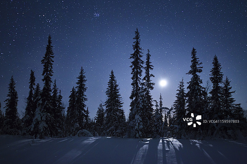 月光下的冰冻森林，瑞典基律纳图片素材