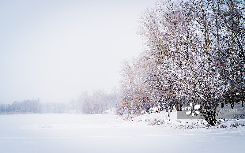冬天的景色:雪和雾图片素材