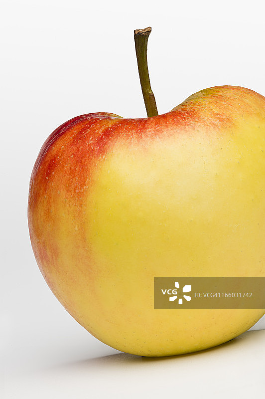 圆熟苹果(图片大小XXXL)图片素材