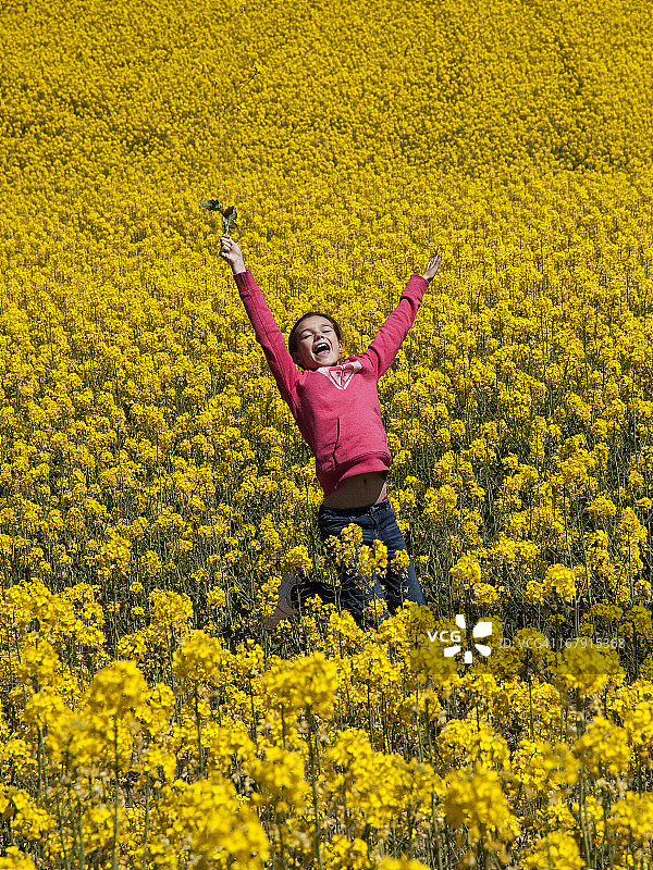 女孩在黄色的花地里跳图片素材
