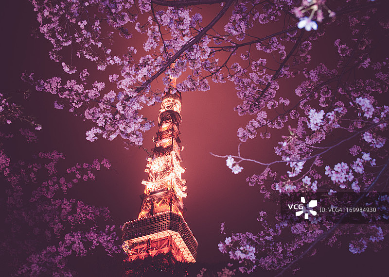 东京和樱花图片素材