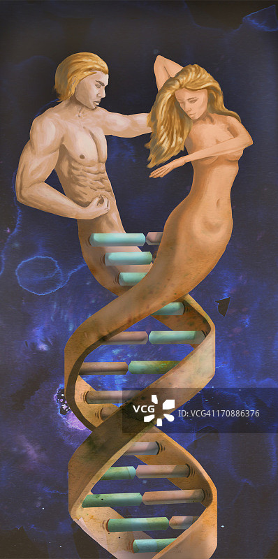 男性和女性代表DNA分子结构图片素材