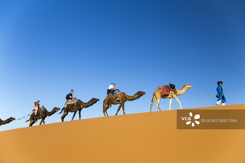 在骆驼旅行图片素材