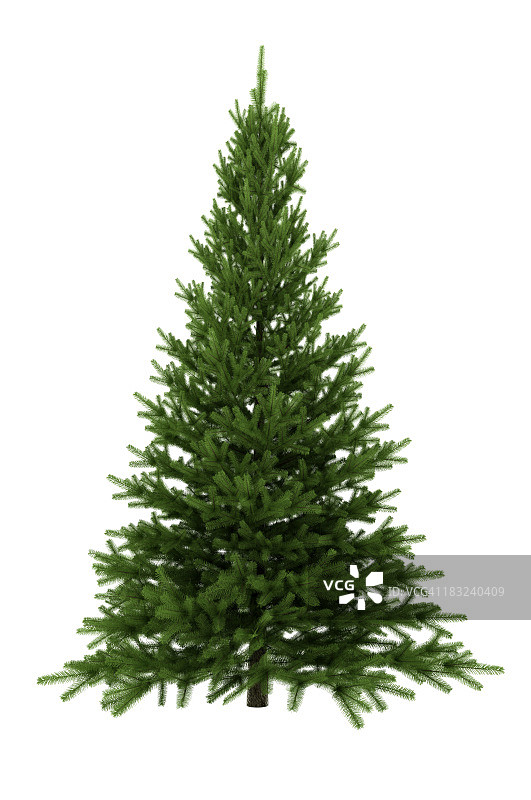 白色背景上的圣诞树(XXXL)图片素材