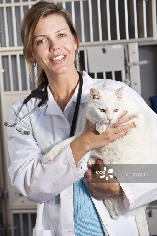 动物诊所的工作人员抱着猫图片素材