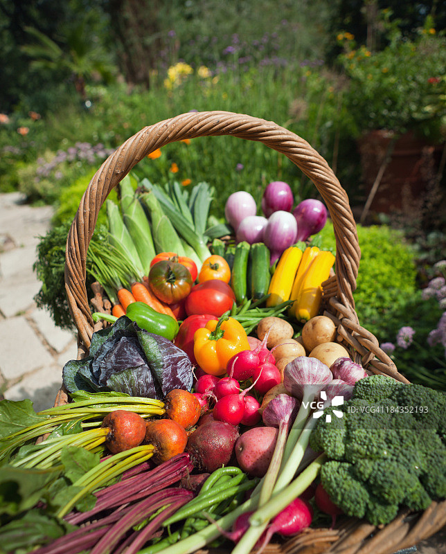 有机蔬菜园社区园艺新鲜产品图片素材