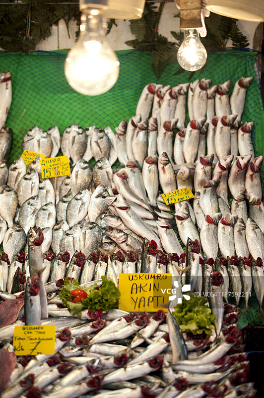 土耳其伊斯坦布尔的鱼市上出售的沙丁鱼图片素材