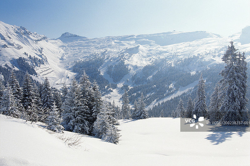 白雪覆盖的树和山，冬天图片素材