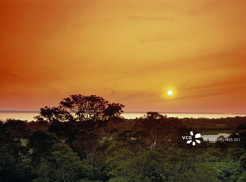 巴西、亚马逊、黑人和日落时的雨林图片素材