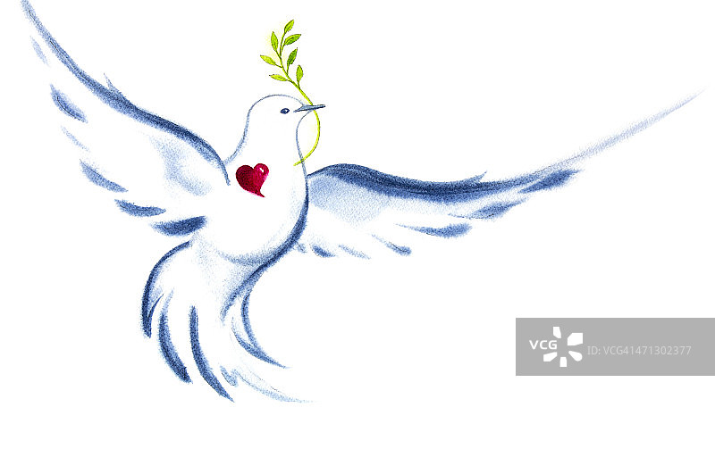 白鸽的爱与和平精神图片素材