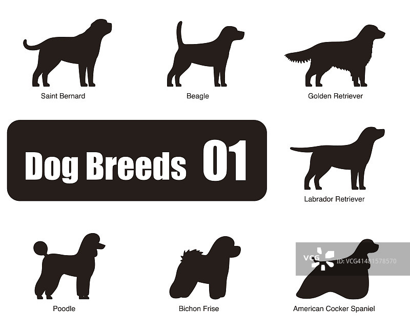 套犬品种，黑白，侧视，矢量图片素材