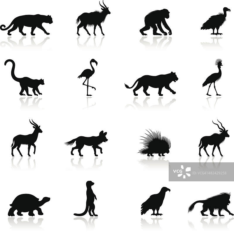 非洲动物剪影图片素材