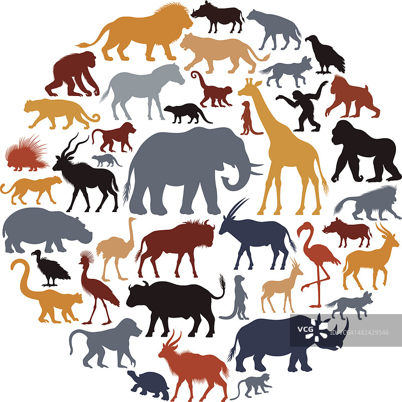 非洲动物剪影拼贴画图片素材