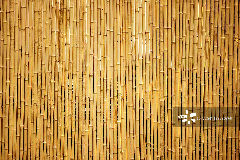 竹子图片素材