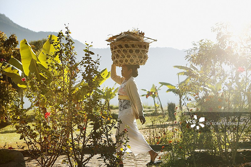 印尼巴厘岛，头戴篮子的妇女图片素材