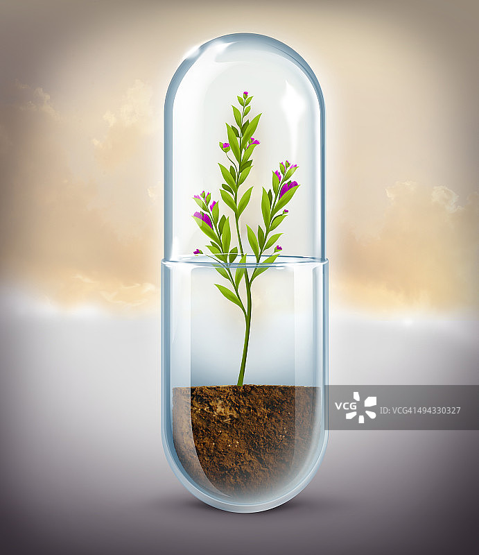 植物在胶囊中生长的图解，代表天然药物图片素材