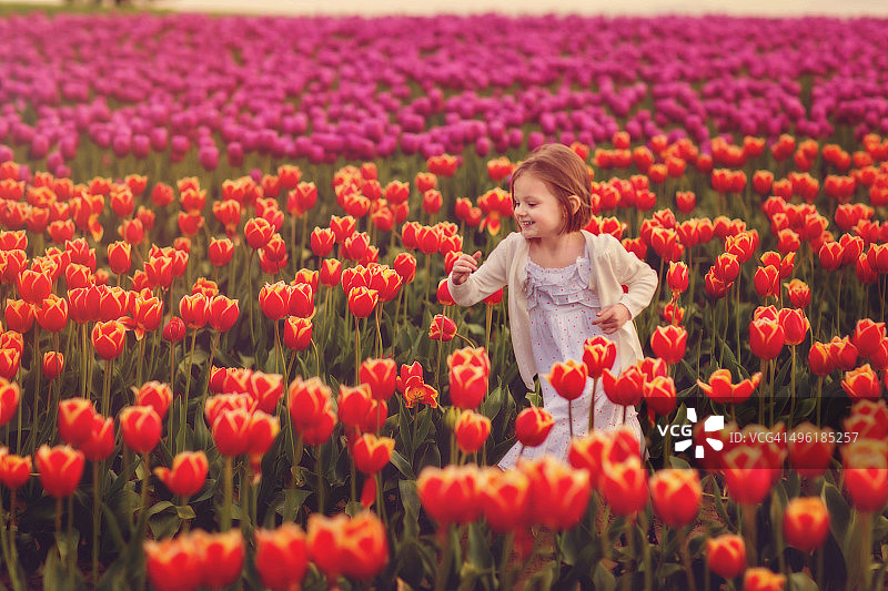 女孩在郁金香花丛中奔跑图片素材