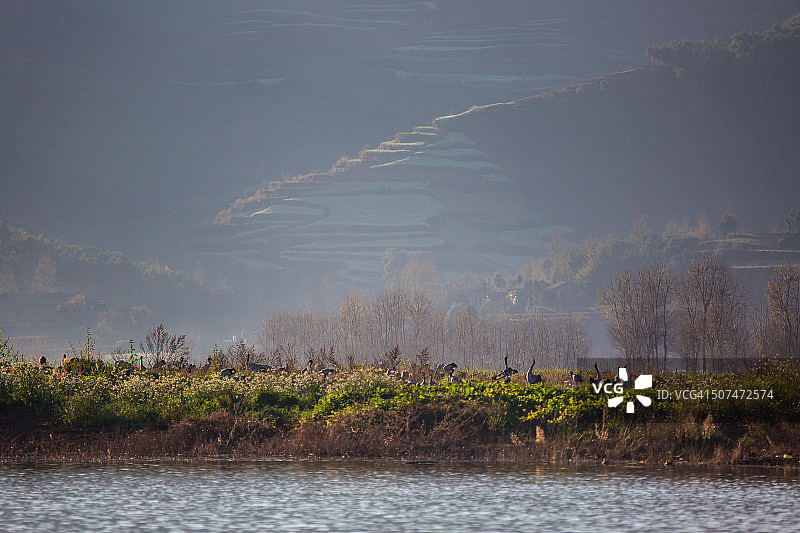 云南年湖的湿地景观图片素材