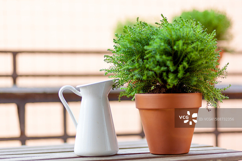 园艺时间!阳台桌或花园桌。盆栽植物和水罐。图片素材